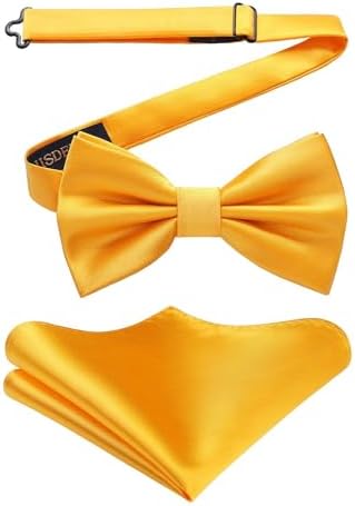 Men’s Paisley Bow Tie Set – Refined Formal Accessories for Weddings and Events