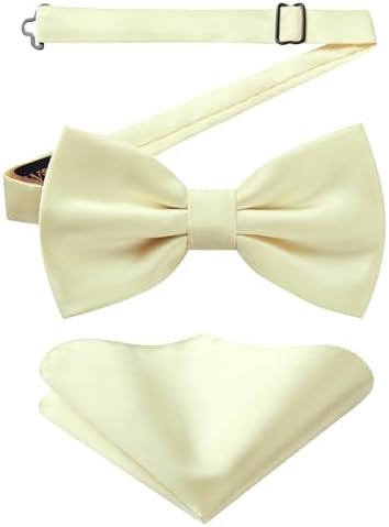 Men’s Paisley Bow Tie Set – Refined Formal Accessories for Weddings and Events