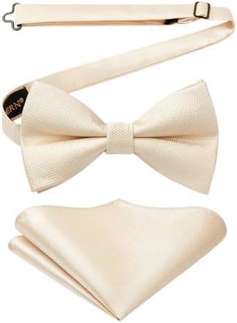 Men’s Paisley Bow Tie Set – Refined Formal Accessories for Weddings and Events