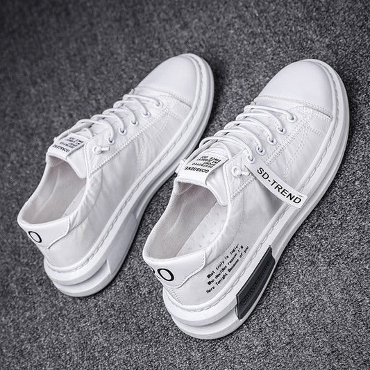 Men’s Lightweight Canvas Sneakers – Lace-Up Low-Top Trainers with Panelled Upper and Cushioned Sole