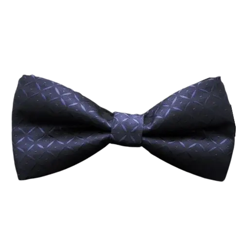 Men’s Pure Silk Bow Tie – Adjustable Formal Accessory for Weddings and Evening Wear