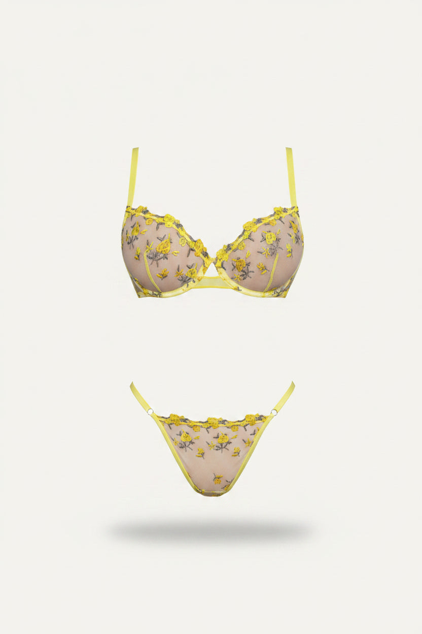Women’s Embroidered Mesh Bra and Thong Set – Underwired Two-Piece Lingerie