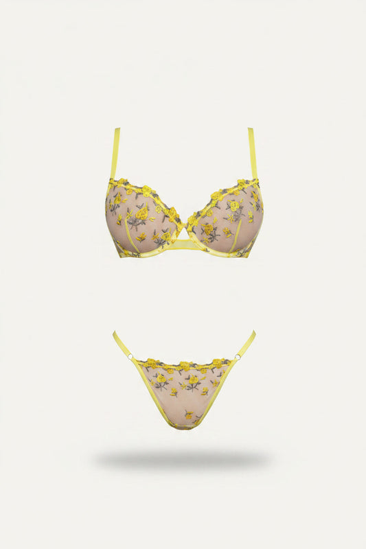 Women’s Embroidered Mesh Bra and Thong Set – Underwired Two-Piece Lingerie