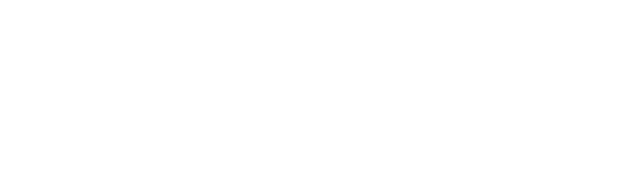 RIVT