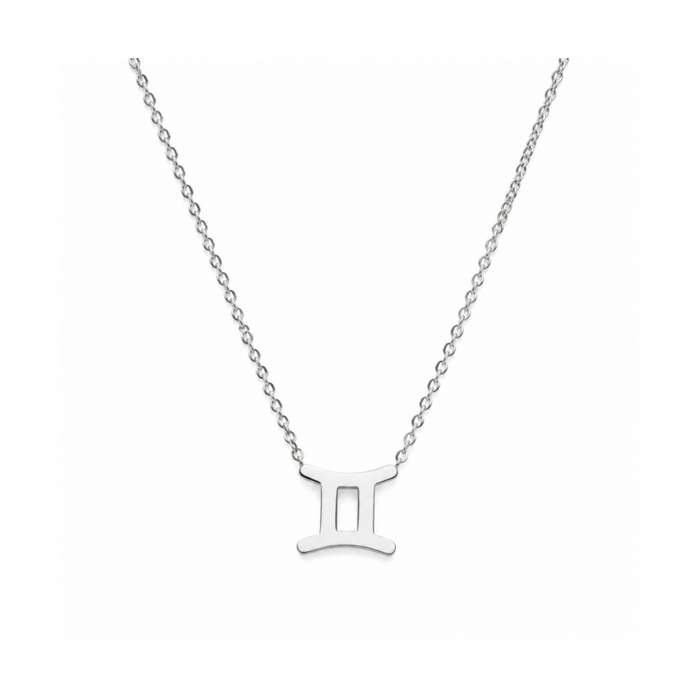 Men's Stainless Steel Zodiac Pendant Necklace – Steel on pure white background