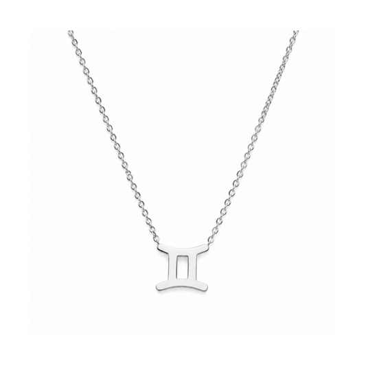 Men's Stainless Steel Zodiac Pendant Necklace – Steel on pure white background