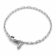 French Square-Clip Stainless Steel Chain on white background