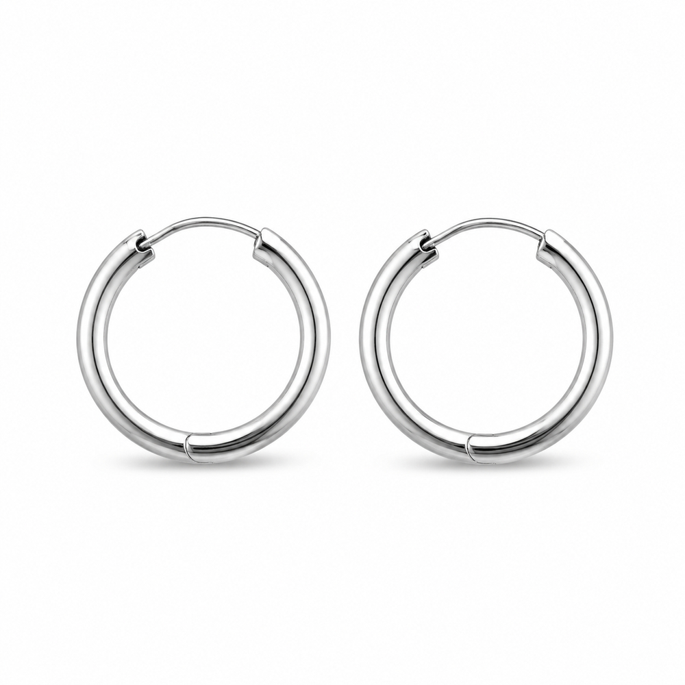 Classic stainless steel hoop earrings