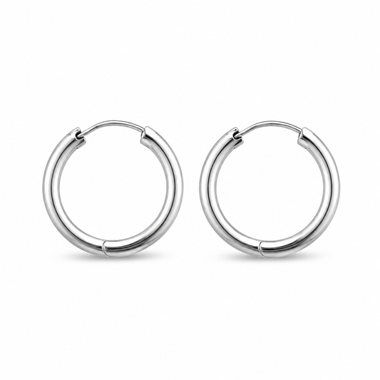 Classic stainless steel hoop earrings